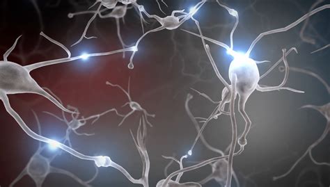 developing child harvard brain architecture.
